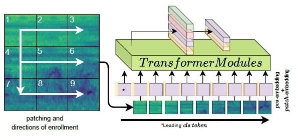 Audio Vision Transformer