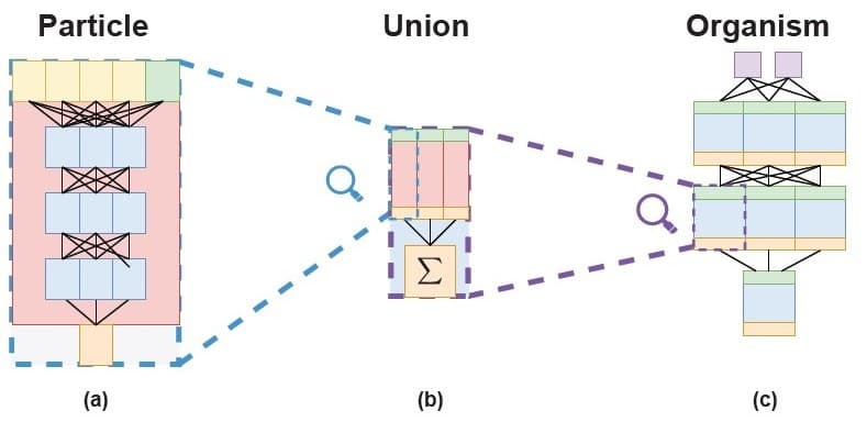 Organism Network Emergence