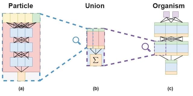 Organism Network Emergence